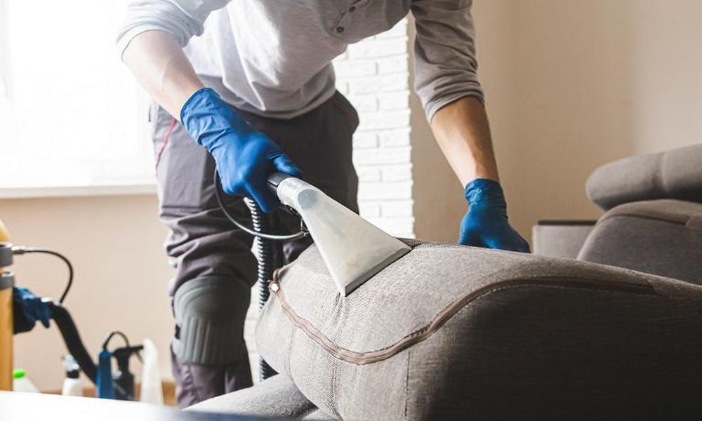 Analyzing Your Sofa Damage for Repair Needs