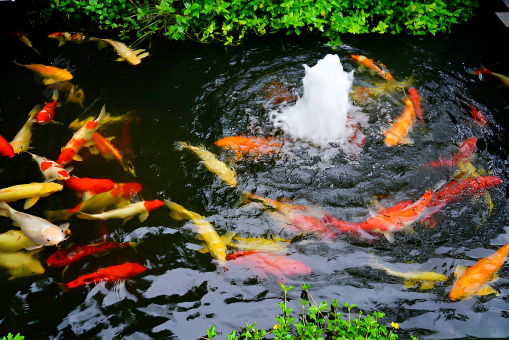 pond air pump