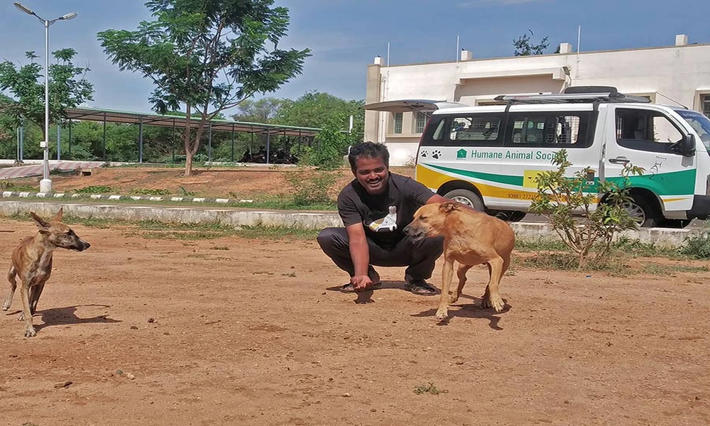 The Role Of Animal Hospitals In Public Health Protection
