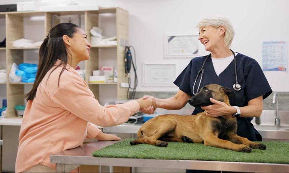 5 Ways Preventive Care Improves Quality Of Life For Pets